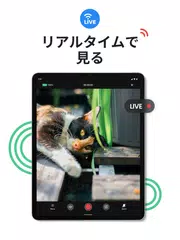 「サーベイランスカメラ Visory」 アプリダウンロード