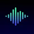 Vocal Image