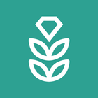 VPN Rice أيقونة