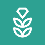 VPN Rice أيقونة