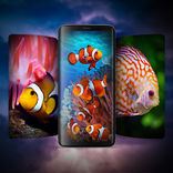 4K HD Fish Wallpaper