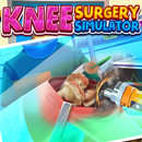 Knee Surgery Simulator aplikacja