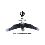 WG Tracking