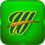 wiselook