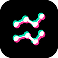 WitTracker - Free Tiktok analytics tool & KOL