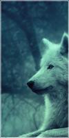 Wolf Wallpapers - Free Wolf Wallpapers Application 海報
