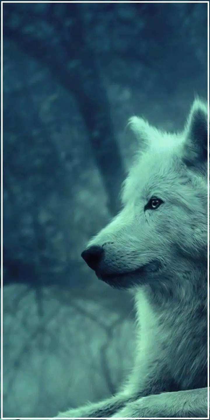 Hình nền sói mang đến sự mạnh mẽ và hoang dã. Với hình nền sói, bạn sẽ có cơ hội tận hưởng cảm giác tràn đầy sức sống và đột phá. Bạn sẽ tìm thấy đầy cảm xúc mạnh mẽ khi ngắm nhìn những tấm hình sói hoang dã và đầy tinh thần.