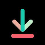 TikTok Video Downloader
