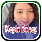 Koplo Bohay icône