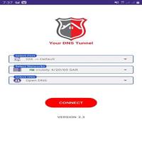 Your DNS Tunnel 포스터