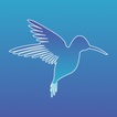 Tiny Image – Minify Image Size