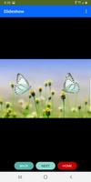 Butterfly Interests capture d'écran 3