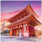 Tokyo: La guida simgesi