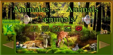 ANIMALES - ANIMALS