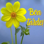 Mensagens de Boa Tarde icon