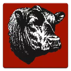 Angus Mobile APK 下載