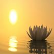 Best Relaxing Music Tibetan