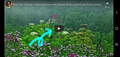 Best Relaxing Music Tibetan Cartaz