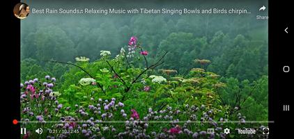 Best Relaxing Music Tibetan imagem de tela 1