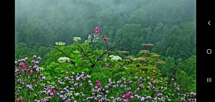 Best Relaxing Music Tibetan imagem de tela 2