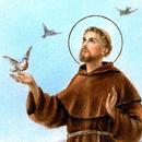 Saint Francis of Assisi APK