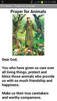 Saint Francis of Assisi syot layar 3