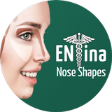 ENTina - Nose Shapes ícone