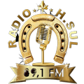 Radio H.Sul FM