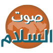 SawtalSalam Radio - Arabic