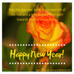 True Pic New Year Cards