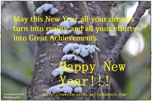 True Pic New Year Cards скриншот 2