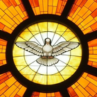Novena al Espíritu Santo иконка