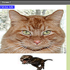 HelloPurr Brinegamers Edition أيقونة