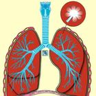 Learn Medical Terminology أيقونة