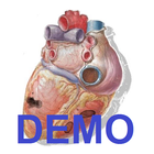 Sonidos Cardiacos Demostración icône