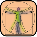 Test de Anatomía