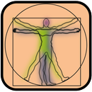 Test de Anatomía APK