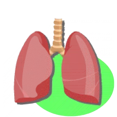 Lung Sounds APK download