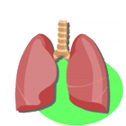 Lung Sounds icône