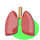 Lung Sounds icono