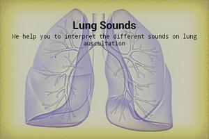 Lung Sounds Poster