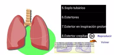 Sonidos Pulmonares