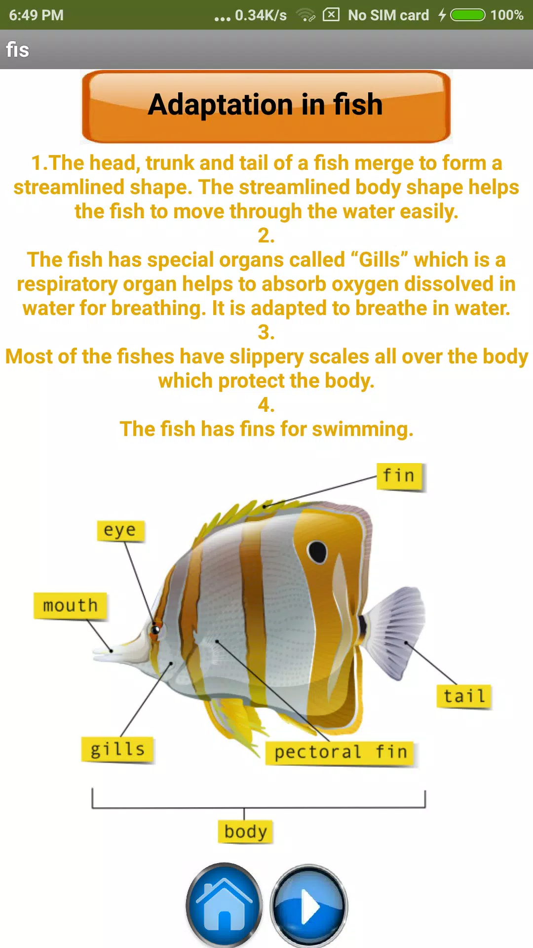 Adaptation in Animals APK for Android Download Adaptation in Animals APK for Android Download