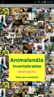 Animalandia Invertebrados Exp poster