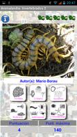 Animalandia Invertebrados Exp screenshot 2