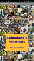 Animalandia Vertebrados 1 poster