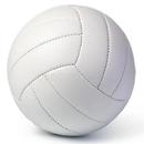 VolleyBall Skills Assessment APK
