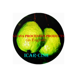 Guava Processed Products( in English)
