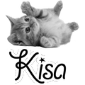 Kisa