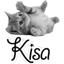 Kisa APK